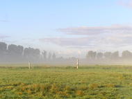 Lichter Morgen