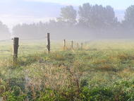 Zaun im Nebel
