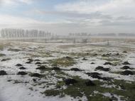 Wintermorgen